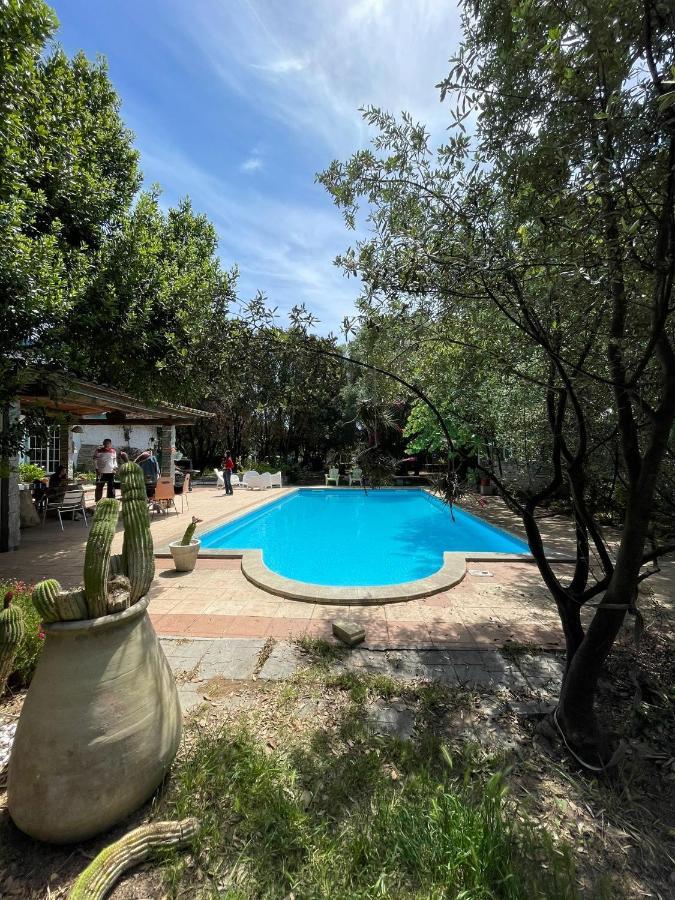 Big Relax Apartment With Swimming Pool And A Peaceful Garden In A Private Villa Sestu Exterior foto