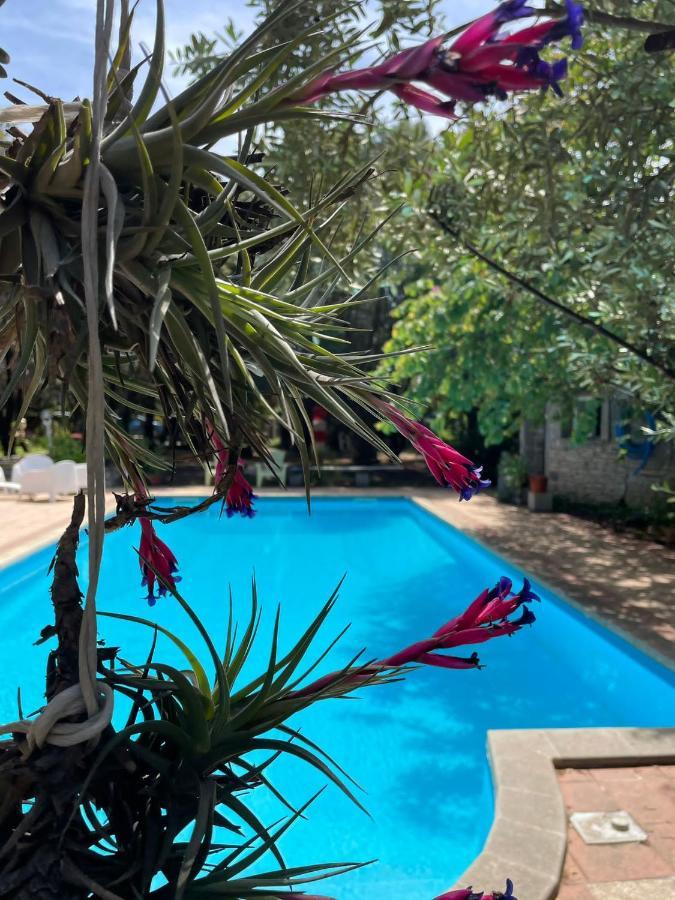 Big Relax Apartment With Swimming Pool And A Peaceful Garden In A Private Villa Sestu Exterior foto